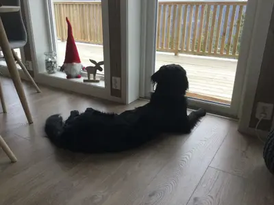 Ferienhaus für 6 Personen (72 m²) in Vrådal 8/10