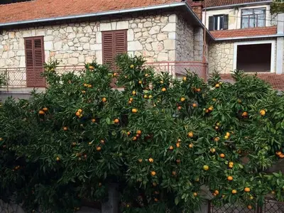 Ferienhaus für 12 Personen in Vrbanj 2/10