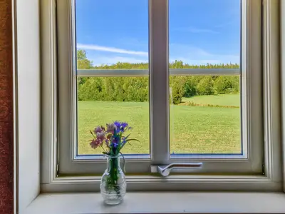 view-from-room