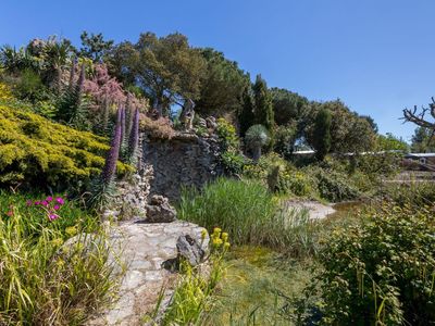 der subtropische Garten