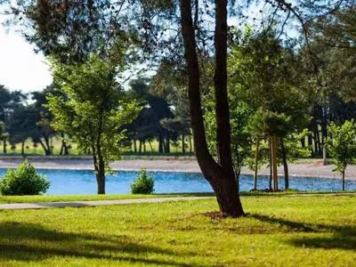 AreaSummer1KM