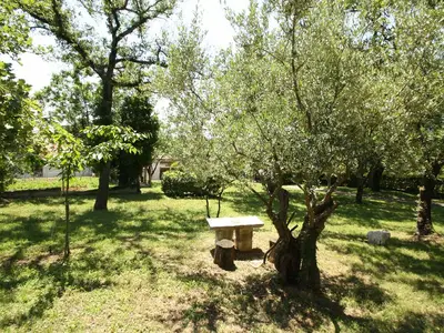 Ferienhaus für 4 Personen (60 m²) in Vrvari 2/10
