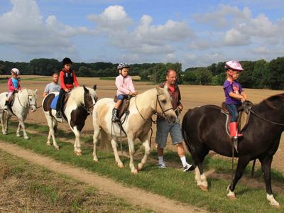 Schrittausritt für die Reitanfänger