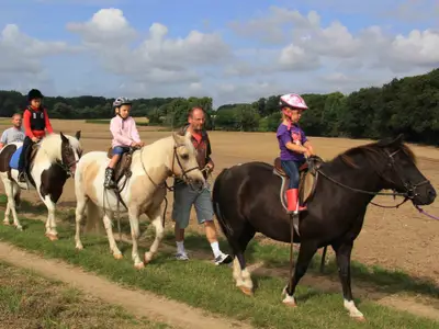 Schrittausritt für die Reitanfänger