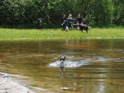 Badesee am Hundeauslauf
