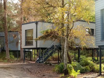 Ferienhaus für 4 Personen (45 m²) in Wagenfeld 1/10