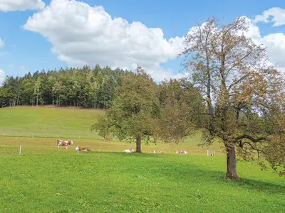 outside
