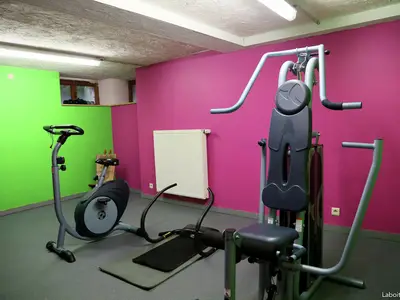Wellness