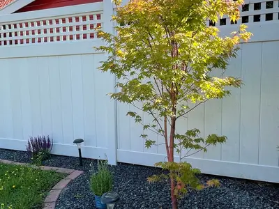 Ferienhaus für 4 Personen (70 m²) in Walchum 5/10