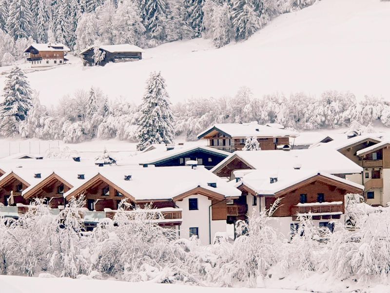 23895273-Ferienhaus-11-Wald im Pinzgau-800x600-0