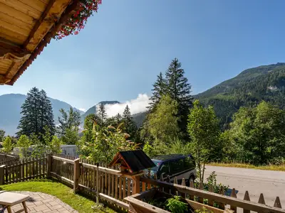 ViewSummer