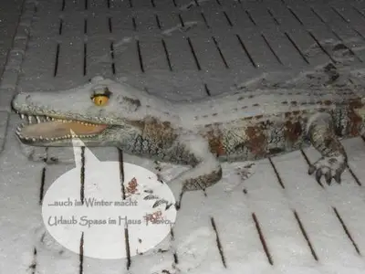 urlaub ist auch im Winter mal gut!