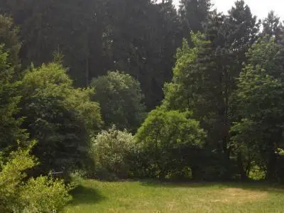 aussicht vom Balkon