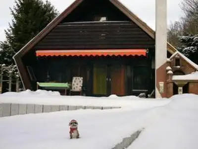 o du fröhliche(s) erdmännchen