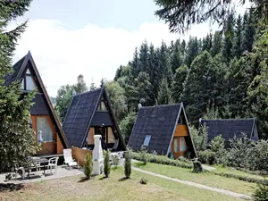 Ferienhaus für 6 Personen (53 m²) in Waldkirchen