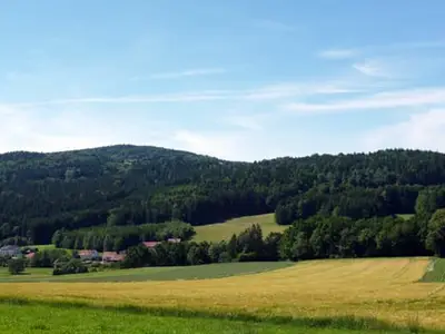 Weite Felder und Wiesen - ideal für Spaziergänge