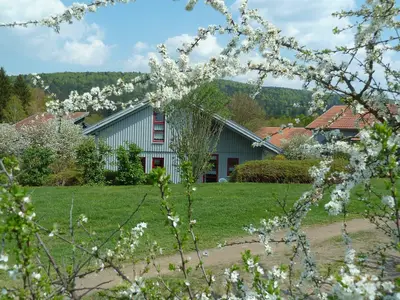 Ferienhaus für 6 Personen (75 m²) in Waldmünchen 6/10