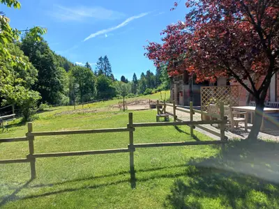Ferienhaus für 10 Personen (180 m²) in Wallscheid 4/10