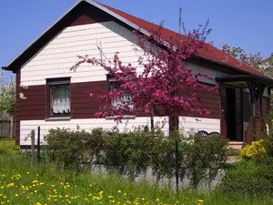 Ferienhaus für 3 Personen (55 m²) in Waltershausen