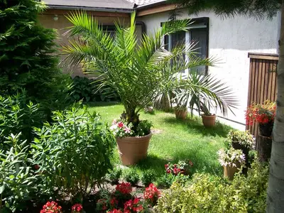 Ferienhaus für 6 Personen (85 m²) in Wandlitz 1/5