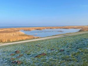 24020473-Ferienhaus-2-Wangerland-300x225-5