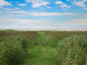 24042933-Ferienhaus-4-Wangerland-300x225-1