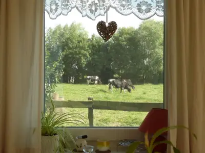 Ferienhaus für 5 Personen (70 m²) in Wangerland 4/10