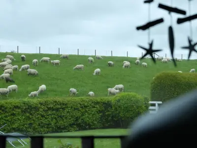 Ferienhaus für 6 Personen (85 m²) in Wangerland 6/10
