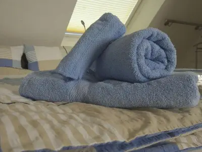 Ferienhaus für 6 Personen (80 m²) in Wangerooge 5/10