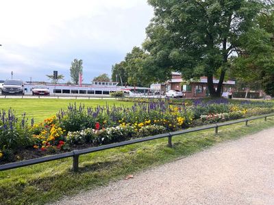 Ferienhaus für 6 Personen (73 m²) in Waren (Müritz) 3/10