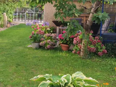 Ferienhaus für 4 Personen (63 m²) in Waren (Müritz) 3/10