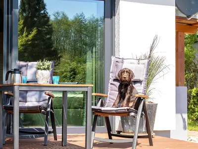 Ferienhaus Große Sommerliebe Waren ( Müritz) Terrasse mit Aussicht ins Grüne