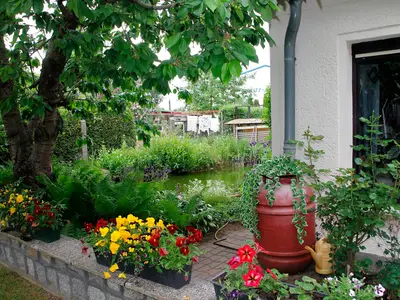 Ferienhaus für 3 Personen (30 m²) in Waren (Müritz) 3/10