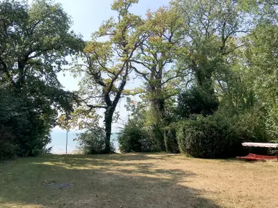 Blick auf Garten und See