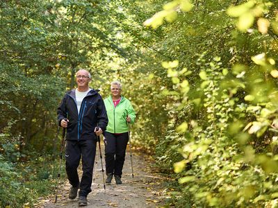 wandern im Nationalpark Hainich