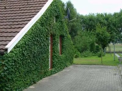 Ferienhaus für 5 Personen (85 m²) in Weener 2/10