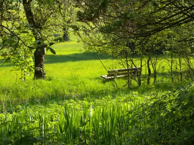 Das Grillnhäusl liegt inmitten der Natur