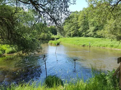 Vogel-Naturschutzgeb