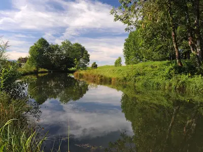 Ferienhaus für 5 Personen (36 m²) in Weiler-Simmerberg 7/9