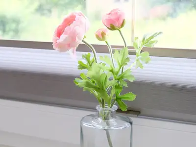 Ferienhaus für 4 Personen (120 m²) in Weimar 10/10