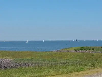 AreaSummer1KM