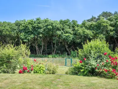 Garten / Blick von der Terrasse