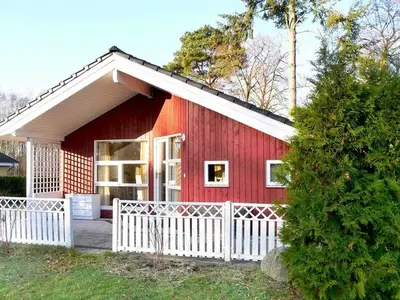 Ferienhaus für 4 Personen (50 m²) in Wendisch Rietz 4/10
