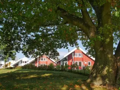 Ferienhaus für 6 Personen (90 m²) in Wendisch Rietz 3/10