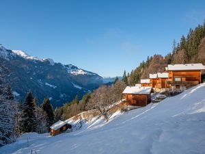 23703943-Ferienhaus-6-Wengen-300x225-3