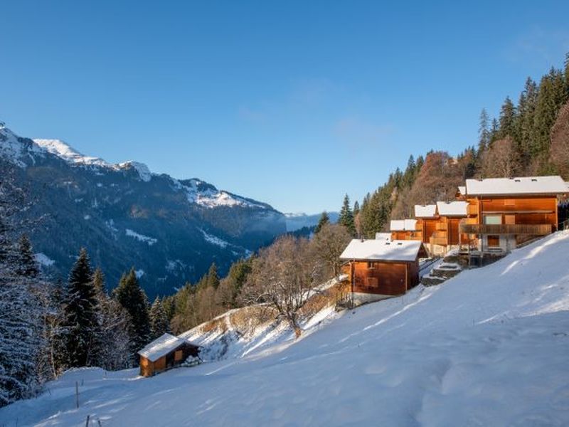 23703943-Ferienhaus-6-Wengen-800x600-2