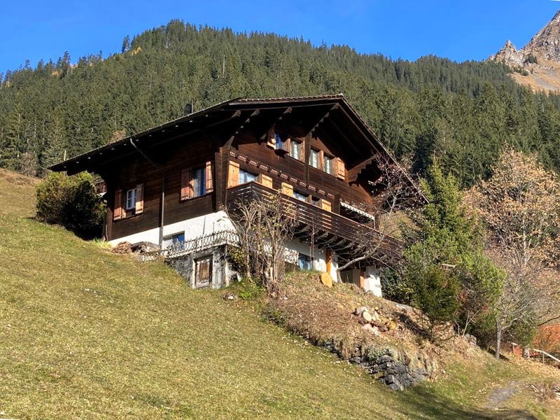 23840295-Ferienhaus-5-Wengen-800x600-1