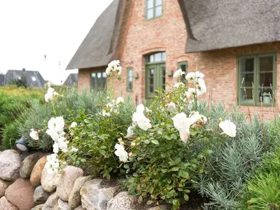 Ferienhaus für 8 Personen (180 m²) in Wenningstedt 2/10