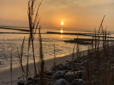 Ferienhaus für 2 Personen (33 m²) in Wenningstedt 8/10