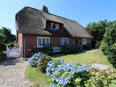 Hauptansicht